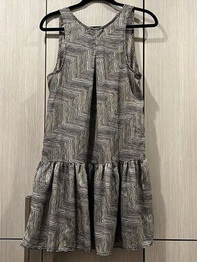 Staring at Stars Zebra Print Drop Waist Dress | Size Medium